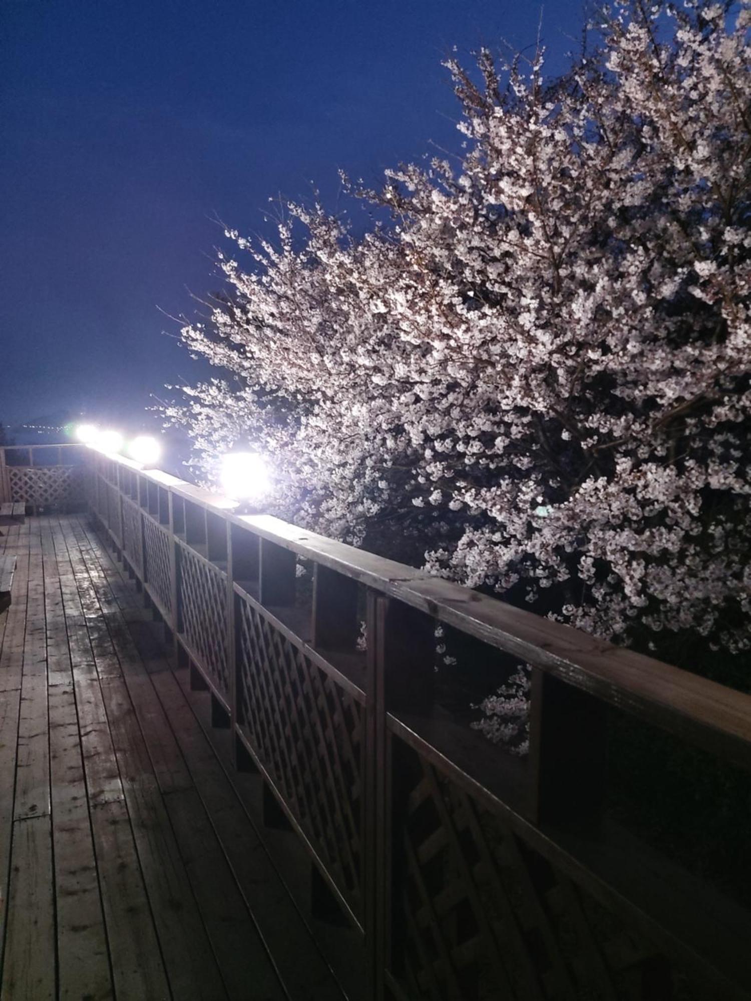 White House Hotel Namhae Exterior foto